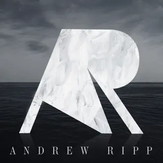 Animal by Andrew Ripp song reviws