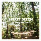 Spirit Ditch (feat. Adrian Crowley) artwork