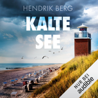 Hendrik Berg - Kalte See. Ein Nordsee-Krimi: Ein Fall für Theo Krumme 5 artwork