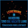 In Hamburg sind die Nächte lang - Single