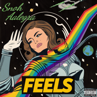 Snoh Aalegra - Feels artwork