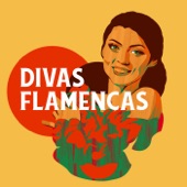 Divas flamencas artwork