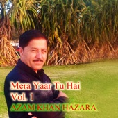 Mera Yaar Tu Hai artwork