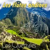 Les Flûtes Andines