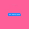 why are you here - Single