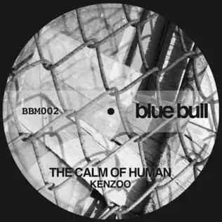 descargar álbum Kenzoo - The Calm Of Human