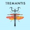 Full Service - Tremantis lyrics