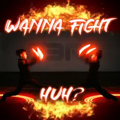 Wanna Fight Huh - Single by S3RL album reviews, ratings, credits