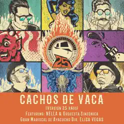 Cachos de Vaca (Versión 25 Años) [feat. Nella, Orquesta Sinfónica Gran Mariscal de Ayacucho & Elisa Vegas] - Single - Desorden Público