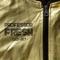 GLD JKT the Song - Professor Fresh lyrics
