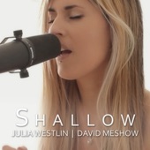 Shallow artwork