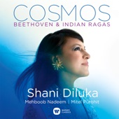 Cosmos - Beethoven & Indian Ragas artwork
