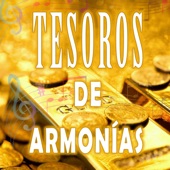 Tesoros de Armonías artwork