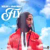 Stream & download Fly - Single