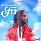 Fly artwork