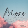 More Than I Know - Single