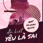 Đã Biết Yêu Là Sai artwork