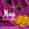 May Nature: 30 Sounds of Relaxing Mixed Nature, Meditation, Sleep & Wellness Music album lyrics, reviews, download