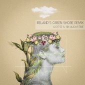 Ireland's Green Shore (Sin Augustine Remix) artwork