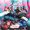 Acústico Planta e Raiz 2022, Show Completo (Ao Vivo)