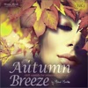 Autumn Breeze, Vol. 3 - Chill Sounds for Relaxing Moments