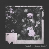 Saudade - Shadows & Light (feat. Chelsea Wolfe & Chino Moreno)