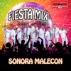 Fiesta Mix 2020 Sonora - Single