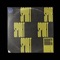 Iodine - Social Sport lyrics