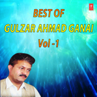 Gulzar Ahmad Ganai - Best of Gulzar Ahmad Ganai, Vol. 1 artwork