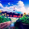 Sunflower - Single