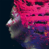 Hand. Cannot. Erase. artwork