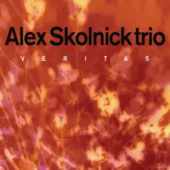Veritas by Nathan Peck, Matt Zebroski & Alex Skolnick Trio album reviews, ratings, credits
