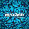 D37 : Transition album lyrics, reviews, download