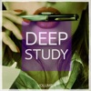 Deep Study, Vol. 4