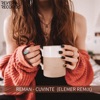 Cuvinte (Elemer Remix) - Single
