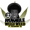 Weed Weed (feat. Blackout JA & Liondub & Marcus Visionary) - EP