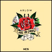 Feel So Lucky artwork