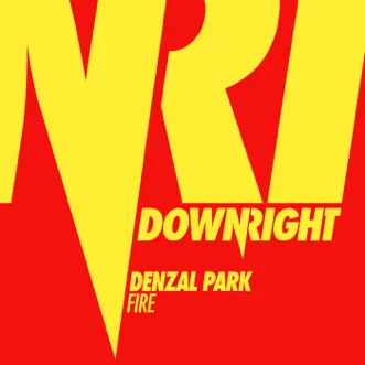 Fire by Denzal Park song reviws