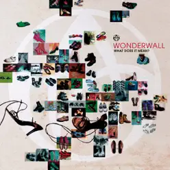 What Does It Mean (Extended Edition) - Wonderwall