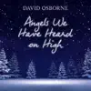 Angels We Have Heard on High - Single album lyrics, reviews, download