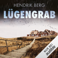 Hendrik Berg - Lügengrab: Ein Fall für Theo Krumme 2 artwork