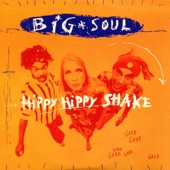 Hippy Hippy Shake (Remix) artwork
