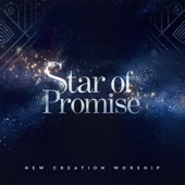 Star of Promise artwork