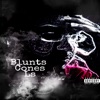 Blunts Cones Ls - Single