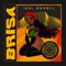Brisa (Ruxell Remix) - Single
