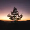 Nature - EP album lyrics, reviews, download
