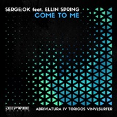 Come to Me (feat. Ellin Spring) [Vinylsurfer Remix] artwork