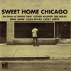 Sweet Home Chicago, 1994