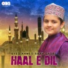 Haal E Dil - Single