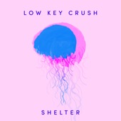 Low Key Crush - Shelter